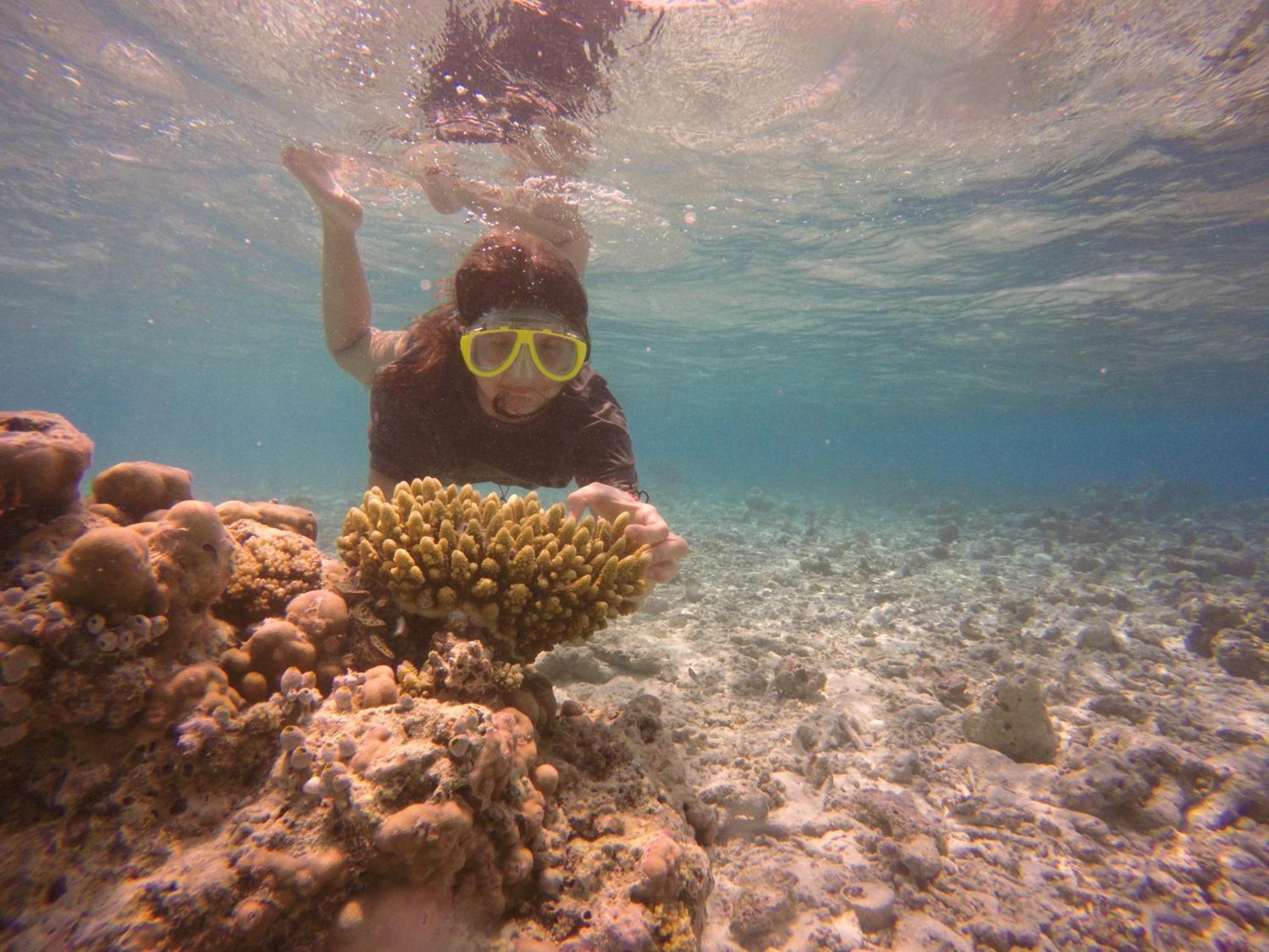 Kaafu Inn Guraidhoo Kültér fotó