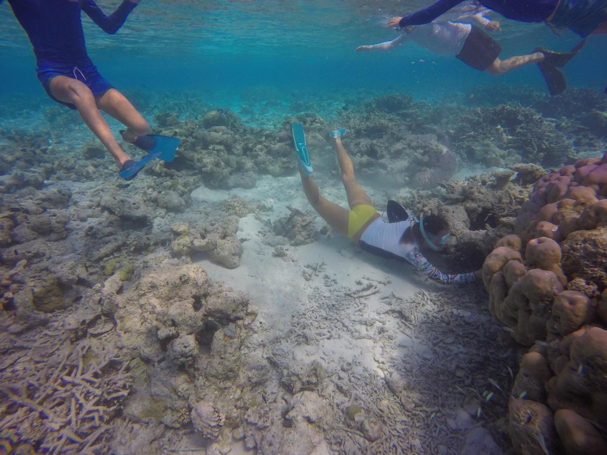 Kaafu Inn Guraidhoo Kültér fotó