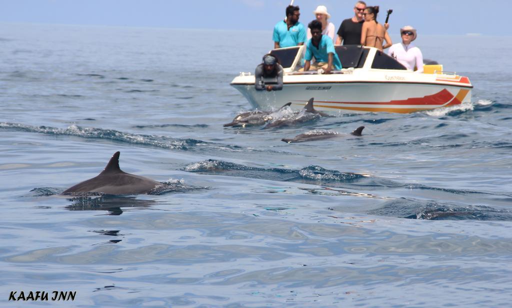 Kaafu Inn Guraidhoo Kültér fotó