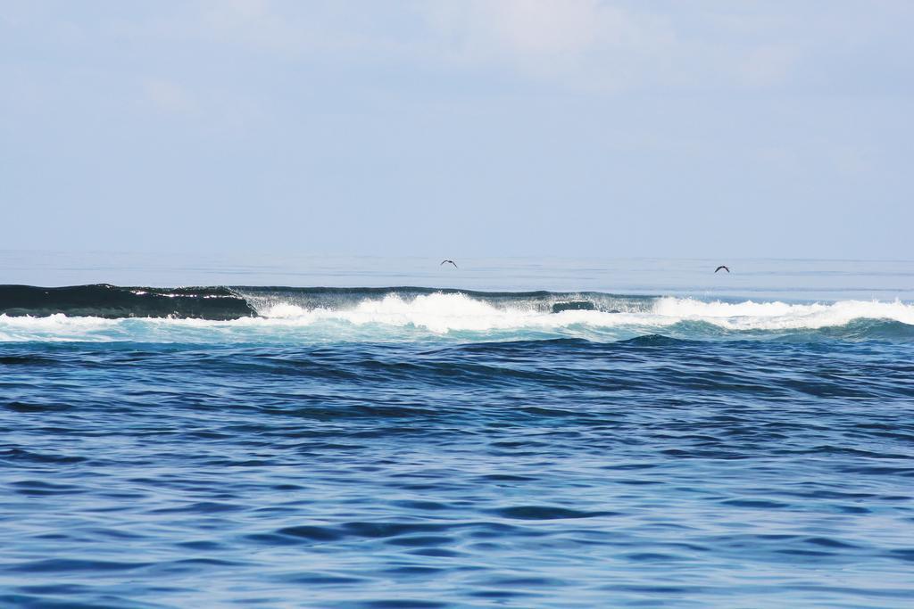 Kaafu Inn Guraidhoo Kültér fotó