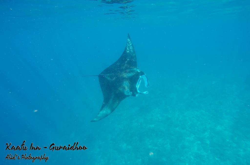 Kaafu Inn Guraidhoo Kültér fotó